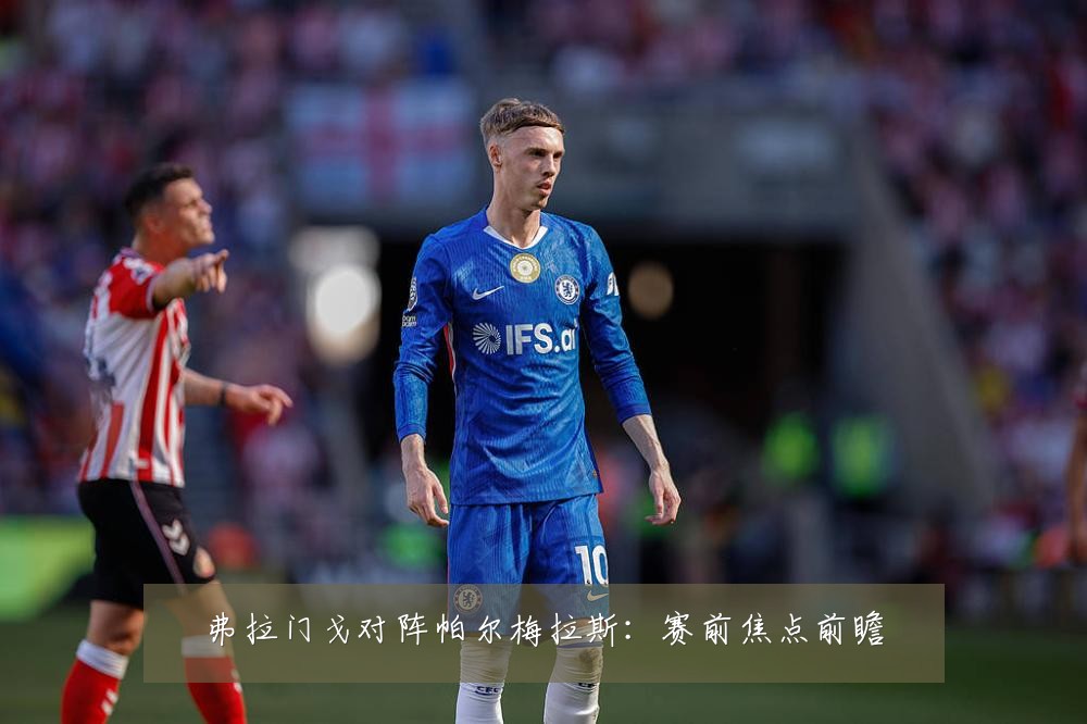 弗拉门戈对阵帕尔梅拉斯:赛前焦点前瞻